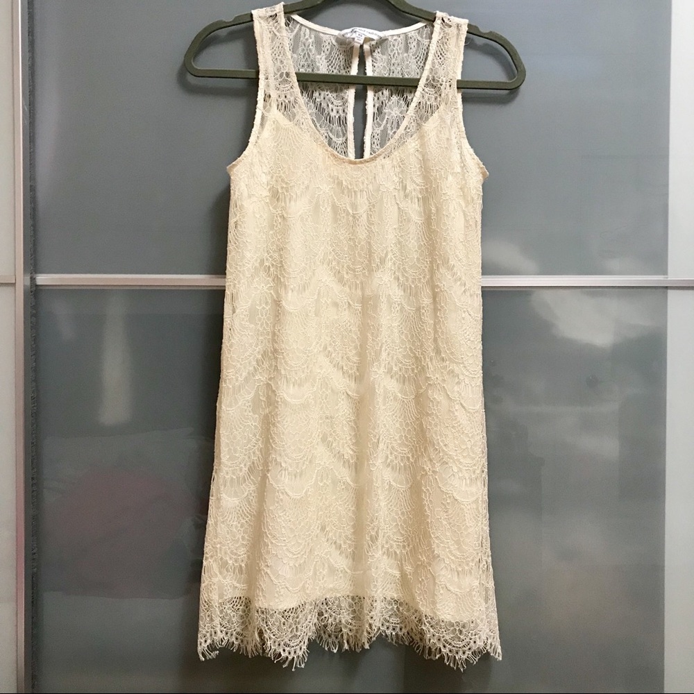 Cupcakes and Cashmere Ivory Lace Shift Dress